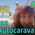 Cines Independientes en Rota: Descubre las Mejores Opciones