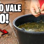 Mejores lugares para comprar productos gourmet en Conil de la Frontera