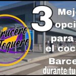 Gu&iacute;a para Testigos de Accidentes en Puerto Real