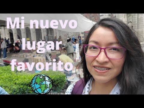 Descubre las Mejores Librer&iacute;as en San Fernando