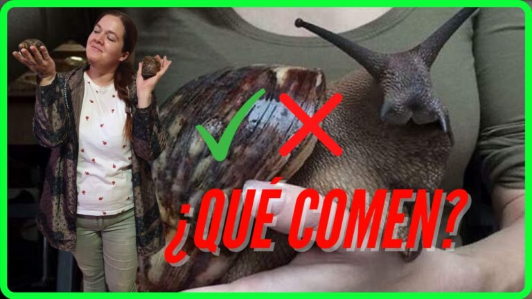 Gu&iacute;a de Compras para Mascotas en Chiclana de la Frontera