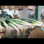 Gu&iacute;a para Comprar Productos de Comercio Justo en Puerto Real