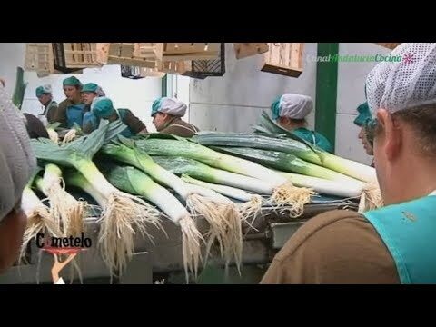 Gu&iacute;a de tiendas de productos org&aacute;nicos en Chipiona