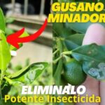 Gu&iacute;a para Comprar Productos de Comercio Justo en Puerto Real