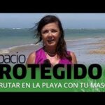 Gu&iacute;a para Comprar Productos de Comercio Justo en Puerto Real