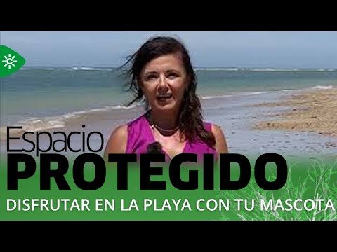 Mejores lugares para comprar productos gourmet en Conil de la Frontera