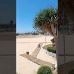 Actividades Deportivas para Ni&ntilde;os en Algeciras: D&oacute;nde Practicarlas