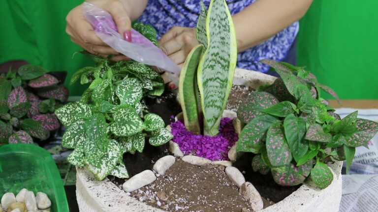 Cursos de jardiner&iacute;a disponibles en Rota
