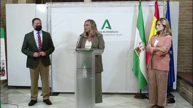 Gu&iacute;a para Solicitar Ayuda al Alquiler en Chiclana de la Frontera
