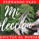 Gu&iacute;a de Compra de Maletas en Barbate
