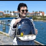 Gu&iacute;a de compra de juguetes educativos en El Puerto de Santa Mar&iacute;a