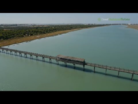 Parques Deportivos en Puerto Real: Gu&iacute;a de Zonas Recreativas