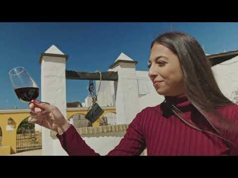 Rutas de Vinos Cercanas a Chipiona