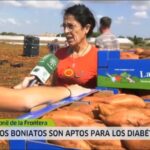 Gu&iacute;a para Comprar Productos de Comercio Justo en Puerto Real