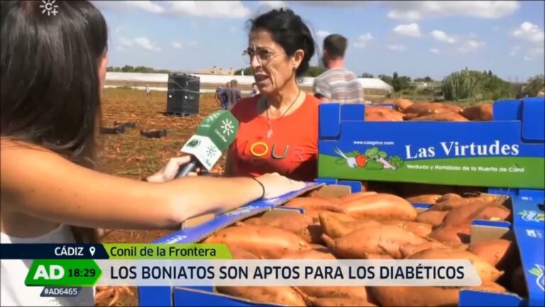 Descubre los Mejores Lugares para Comprar Productos Gourmet en Conil de la Frontera