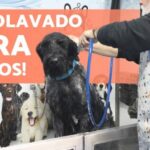 Gu&iacute;a de Compras para Mascotas en Chiclana de la Frontera
