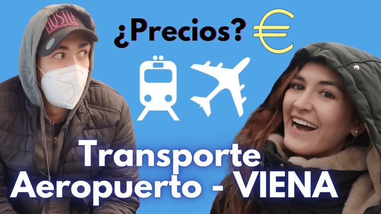 Opciones de Transporte desde el Aeropuerto de Puerto Real