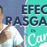 Servicios de Consultor&iacute;a en Barbate: &iquest;Qu&eacute; Ofrecen las Empresas?