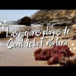 Las Mejores Playas Cerca de Sanl&uacute;car de Barrameda