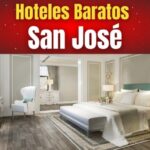 Alojamiento Barato en San Fernando: Gu&iacute;a de Opciones Econ&oacute;micas