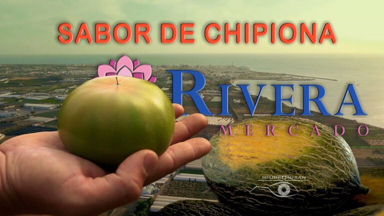 Tiendas de Ropa Infantil en Chipiona: Gu&iacute;a Completa