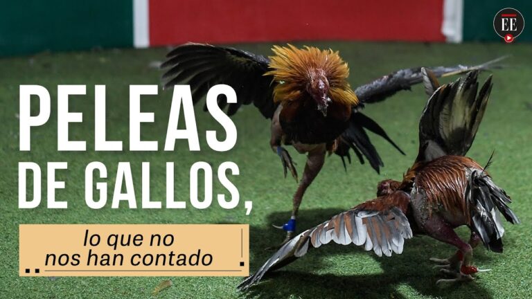 Normativas sobre la Venta de Tabaco en El Puerto de Santa María