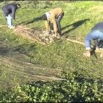 Guía para Comprar Discos de Vinilo en Conil de la Frontera